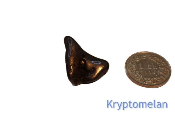 Kryptomelan Handstein – Bild 2