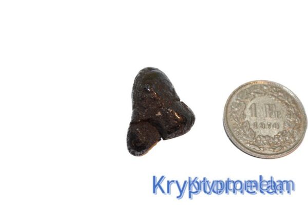 Kryptomelan Handstein – Bild 2